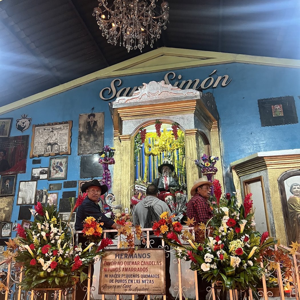Botanica San Simon 2