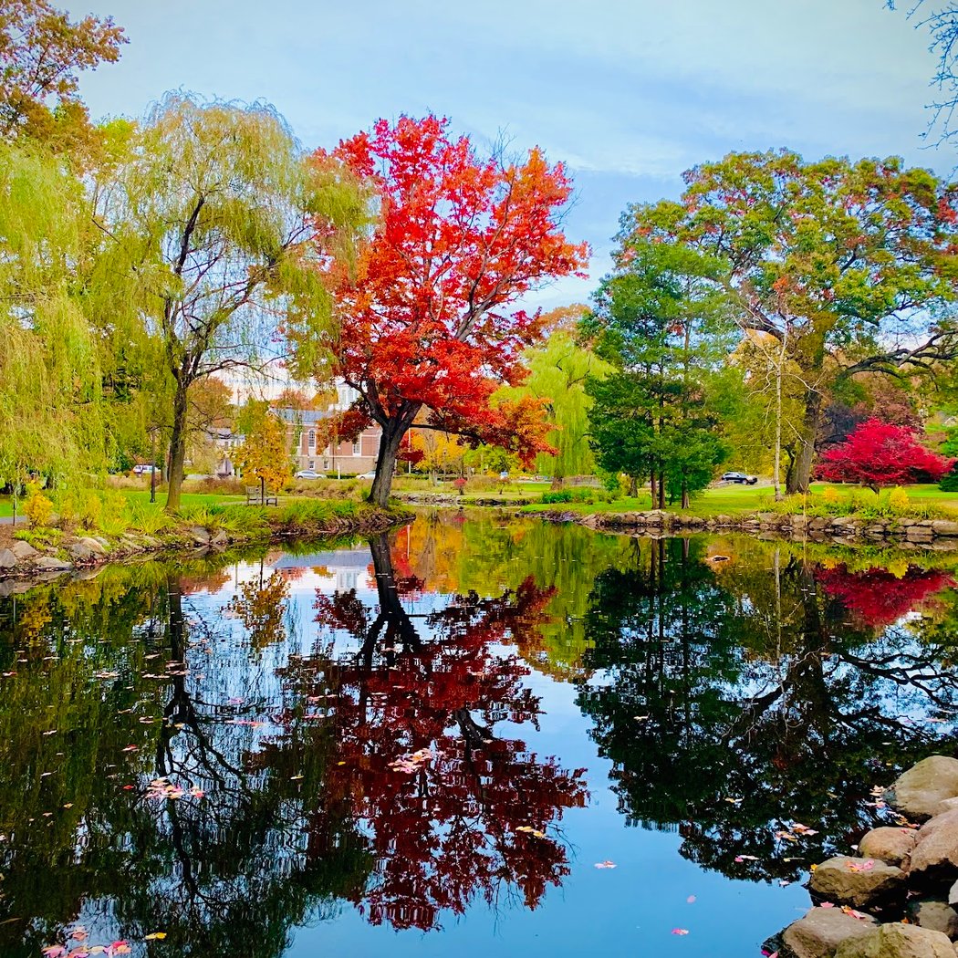 Binney Park 1