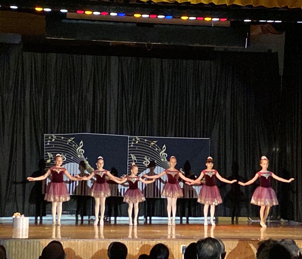 Shostakovich School of Music, Art & Dance 2