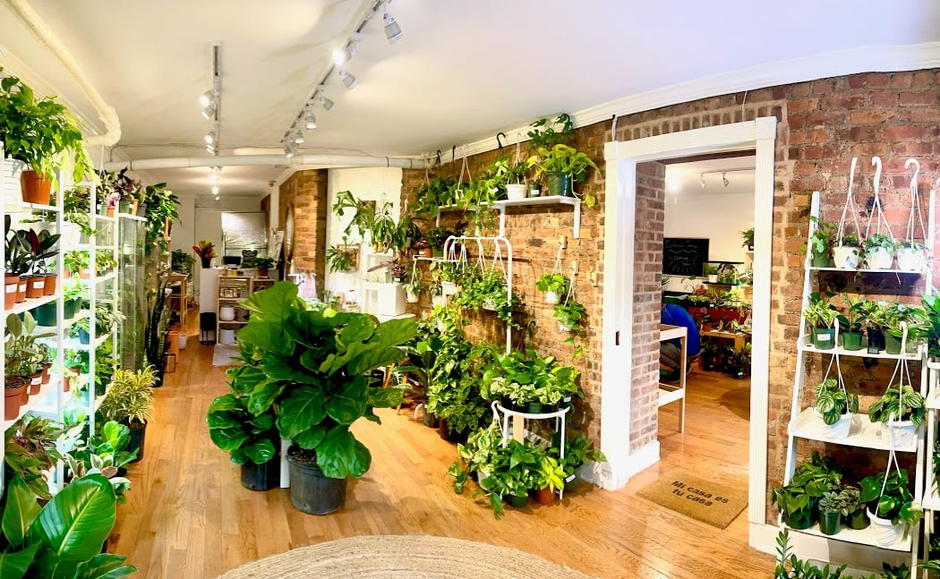 Living with Green 3