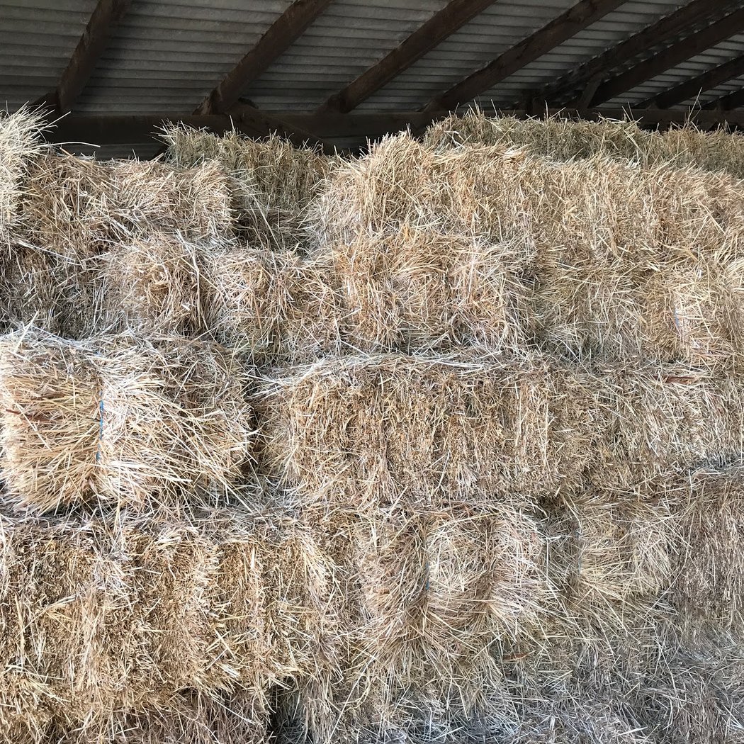 La Ferme de Jasson 2