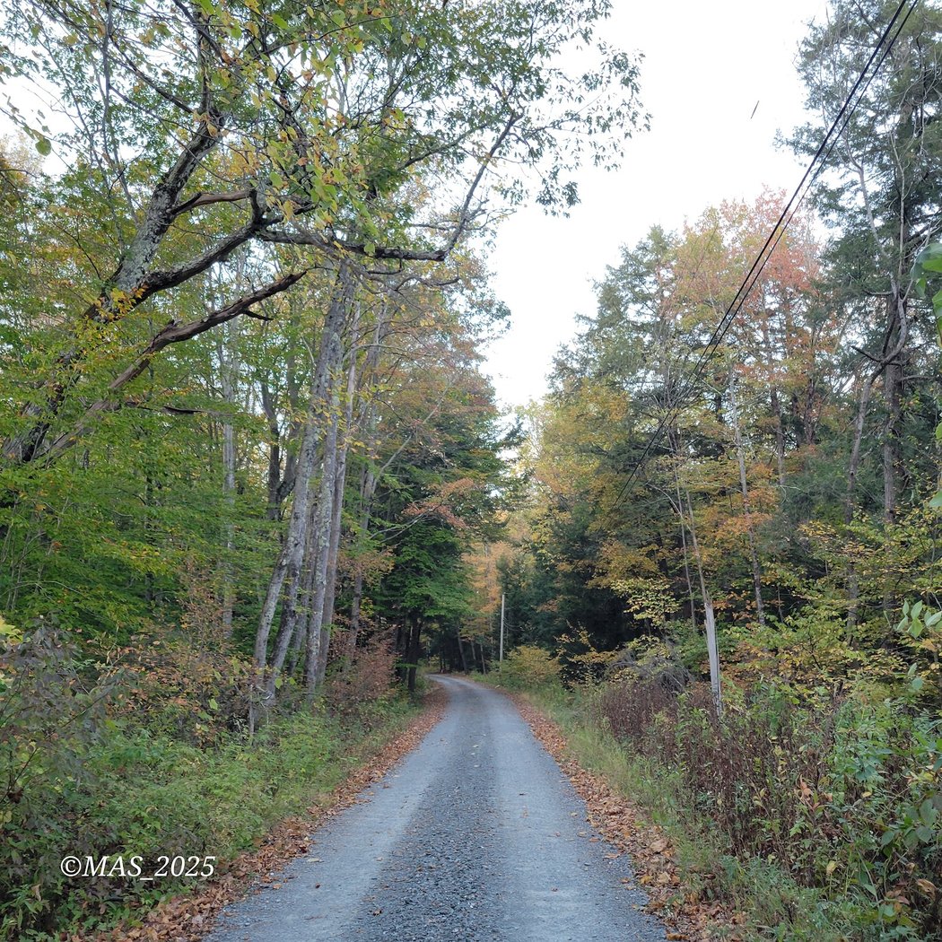 Corkscrew Rail Trail 2