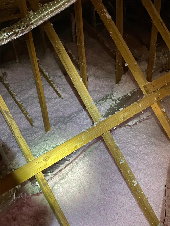 Attic City San Jose 2