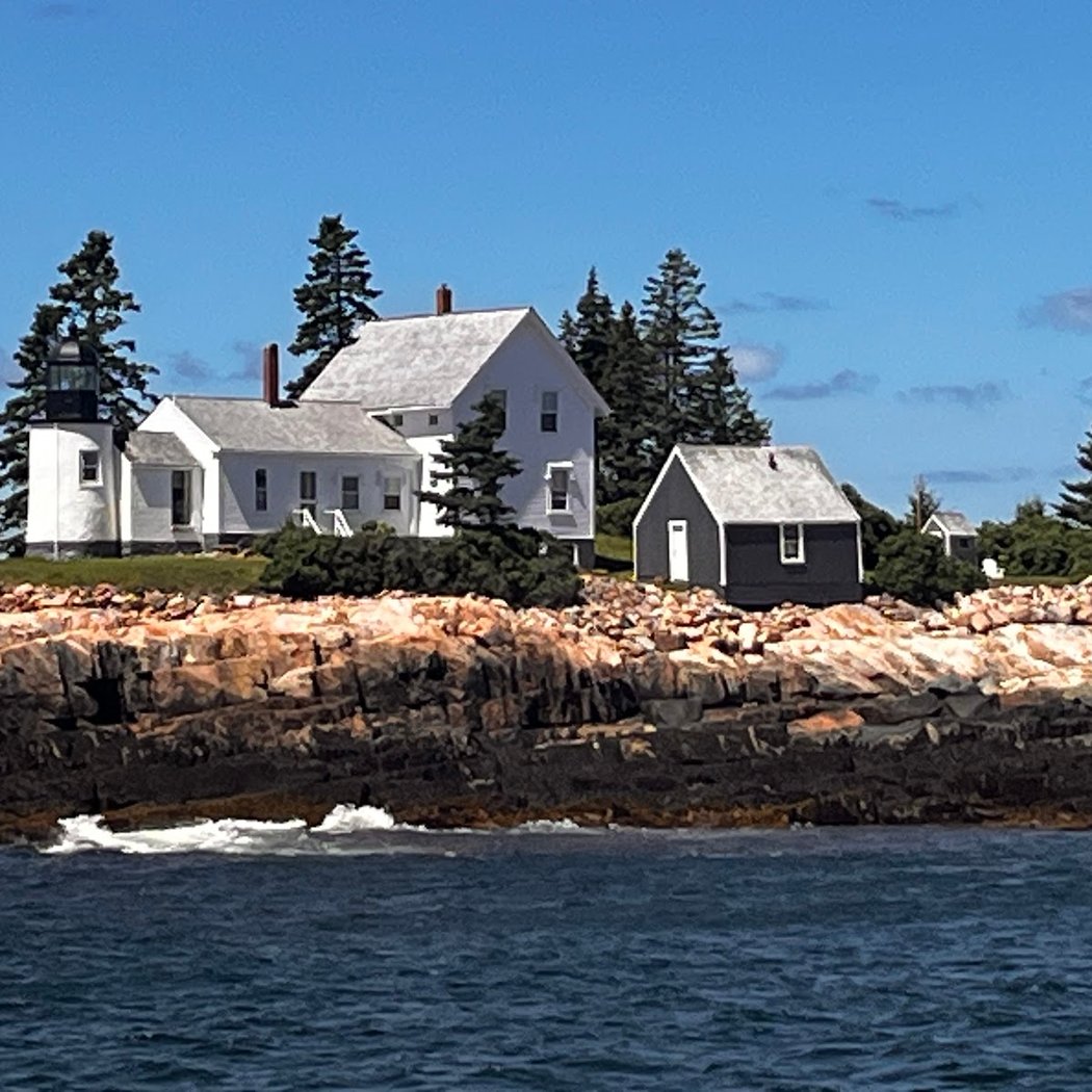 Bar Harbor Whale Watch Co 3