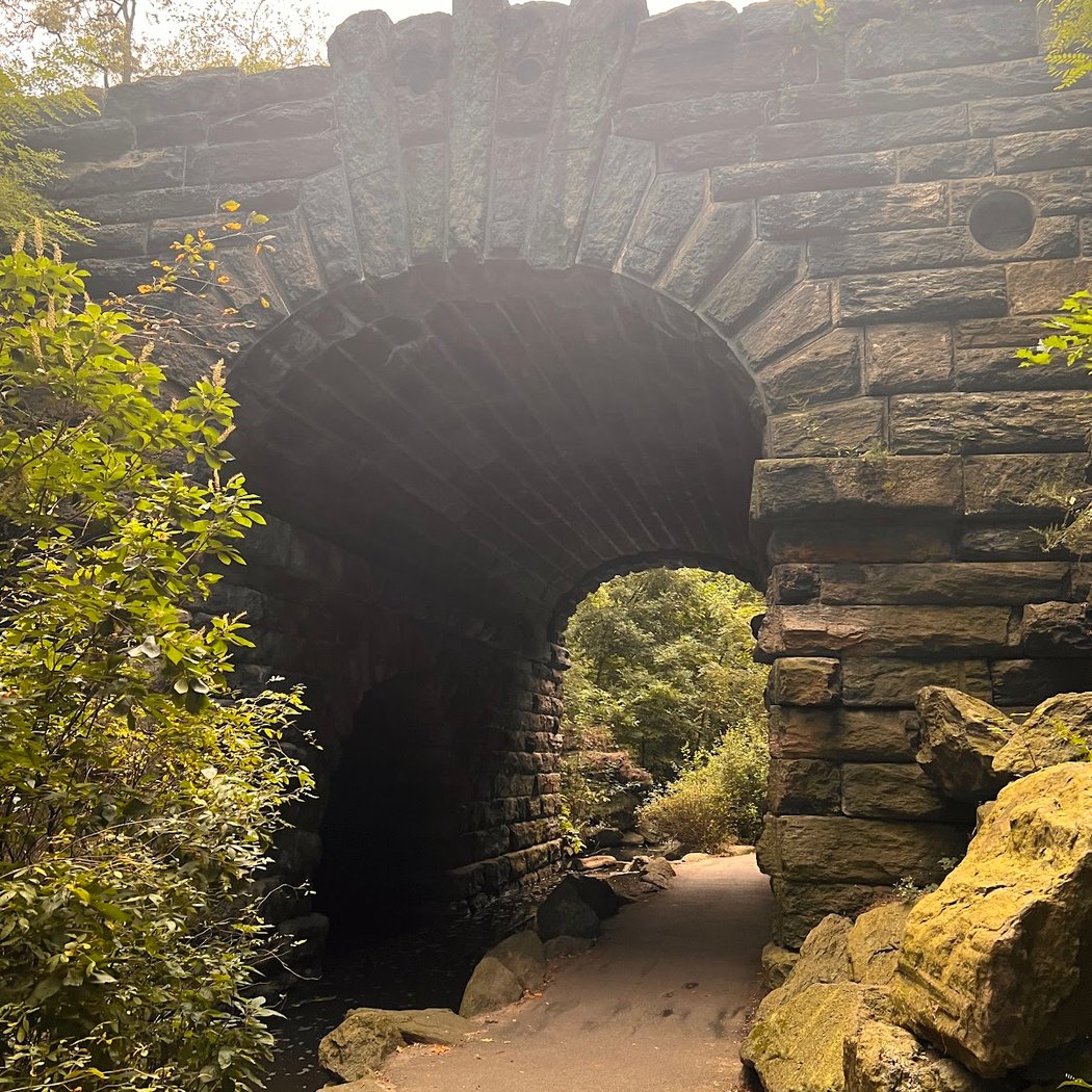 The Ravine 3