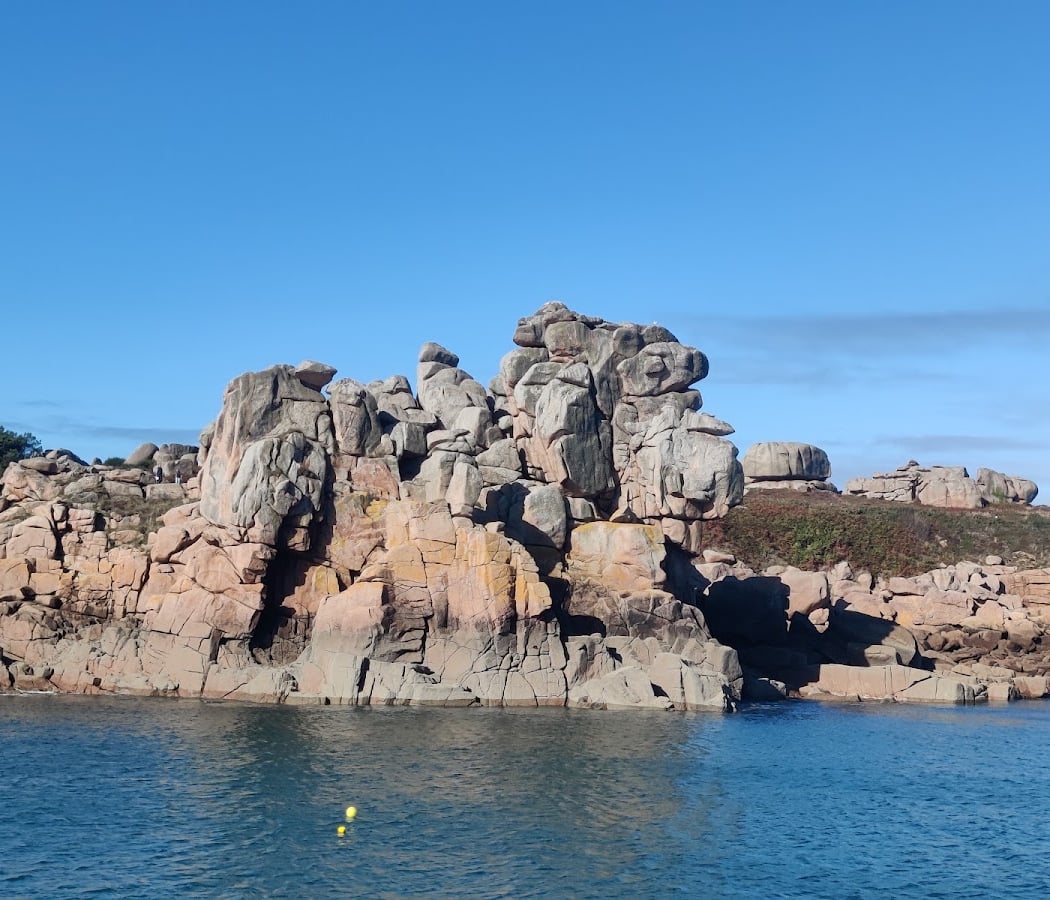 Croisière d'observation de la faune marine aux Sept-Îles 2