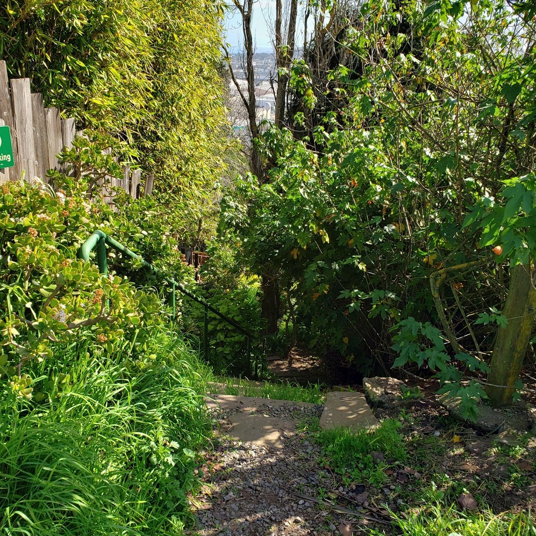 Dogpatch/Miller Memorial Community Garden 1