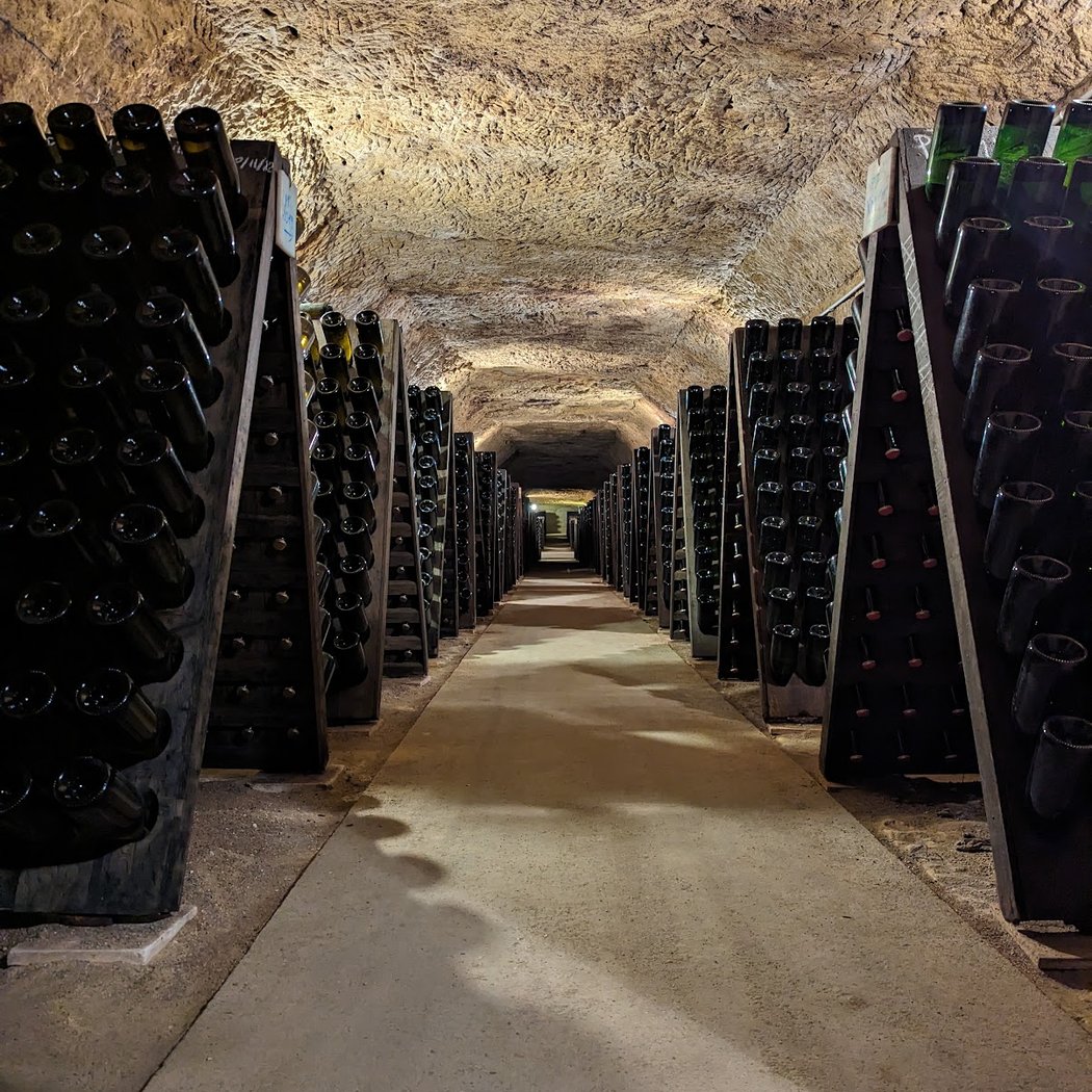 Presentation of the 2025 Vintage 1