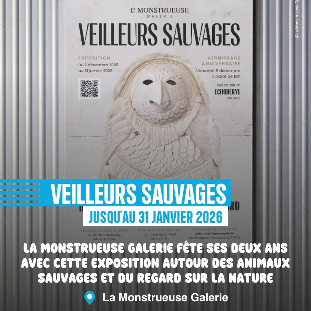 Veilleurs Sauvages 1