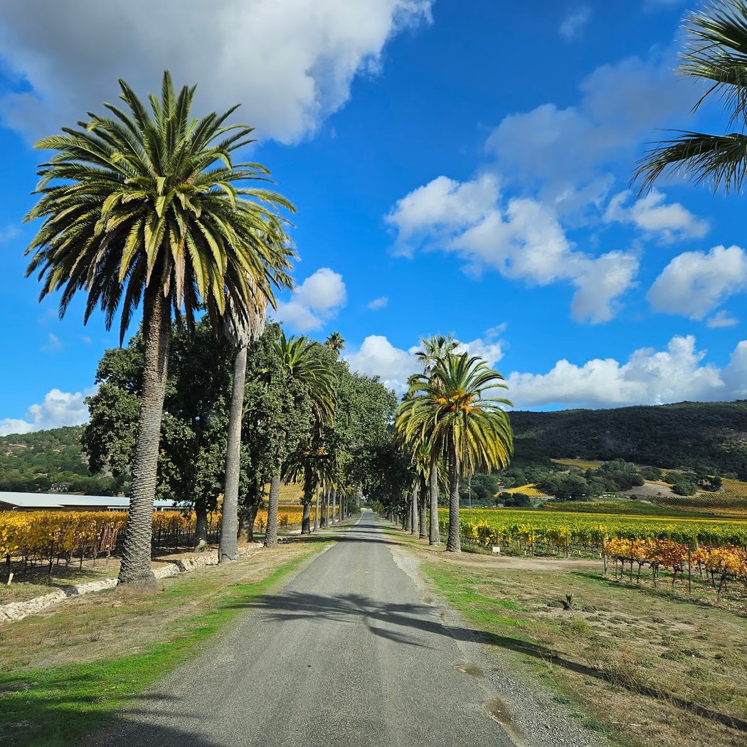 Scribe Winery 5