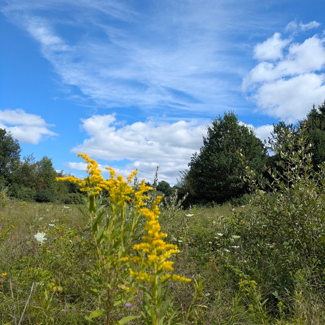 Dominican Meadows Preserve 2