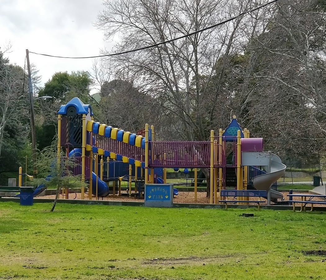 Ambrose Park 2