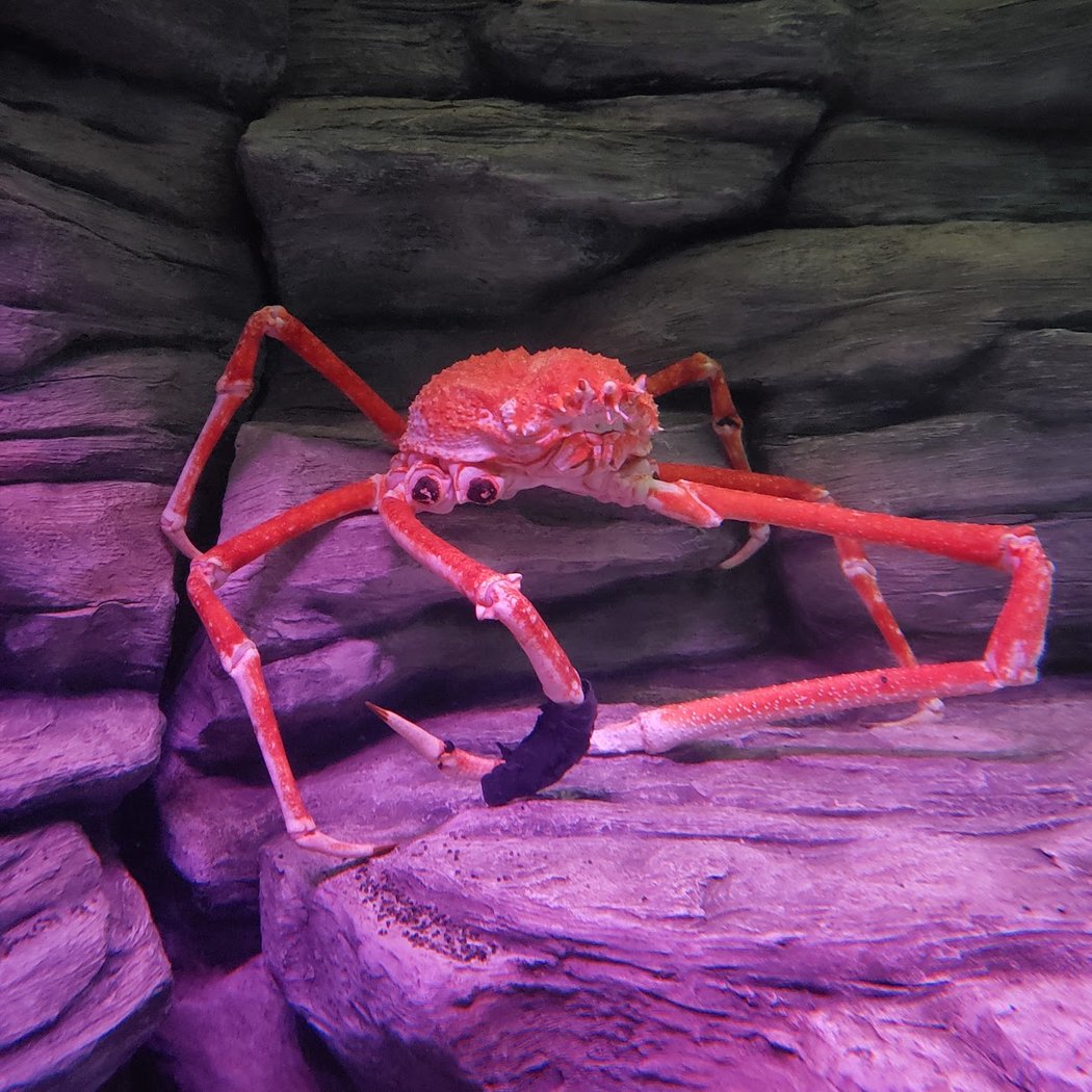 Point Defiance Zoo & Aquarium 2