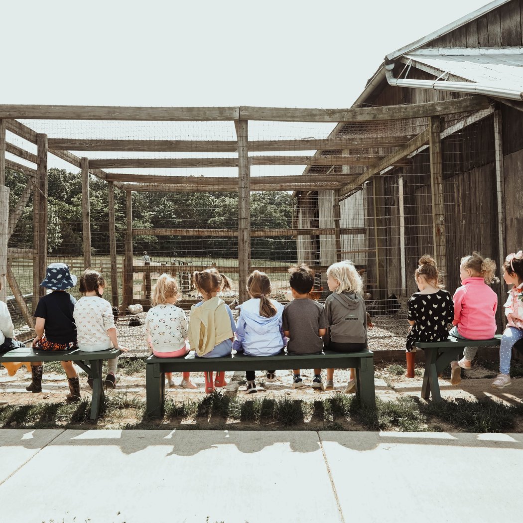 Learning Tree Farm 2