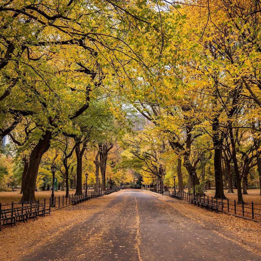 The Mall and Literary Walk 1