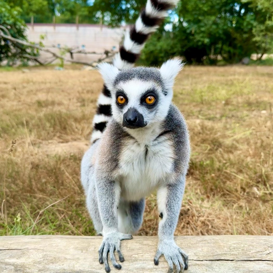 Natur'Zoo Mervent 1