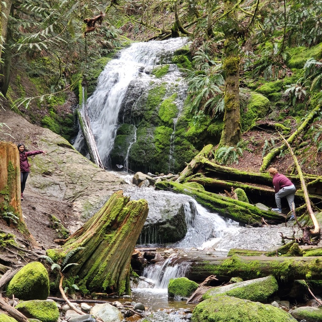 Cougar Mountain Trail Run Series 1