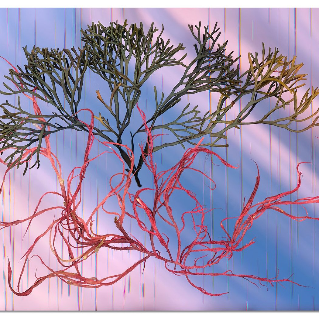Exhibition #46 — LIVING SYSTEMS 1