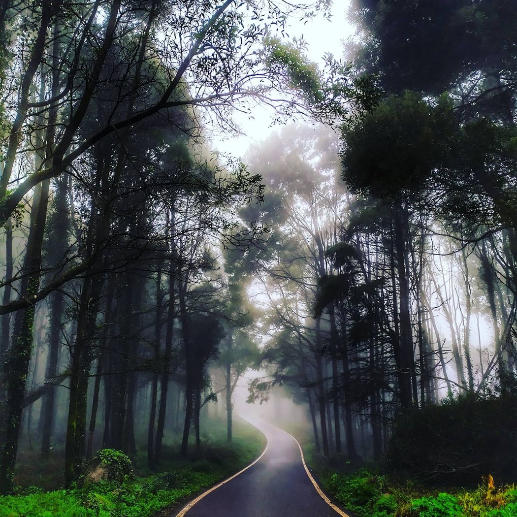 Sintra Mountains 1