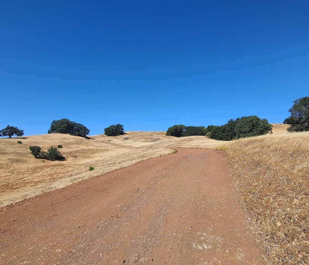 Curry Point, Mt. Diablo State Park 3