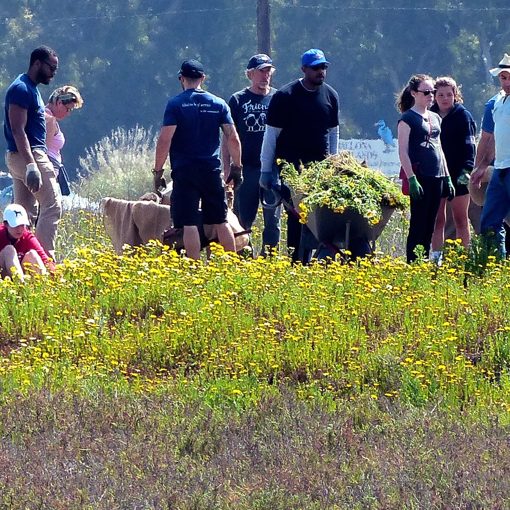 Community Habitat Restoration 2
