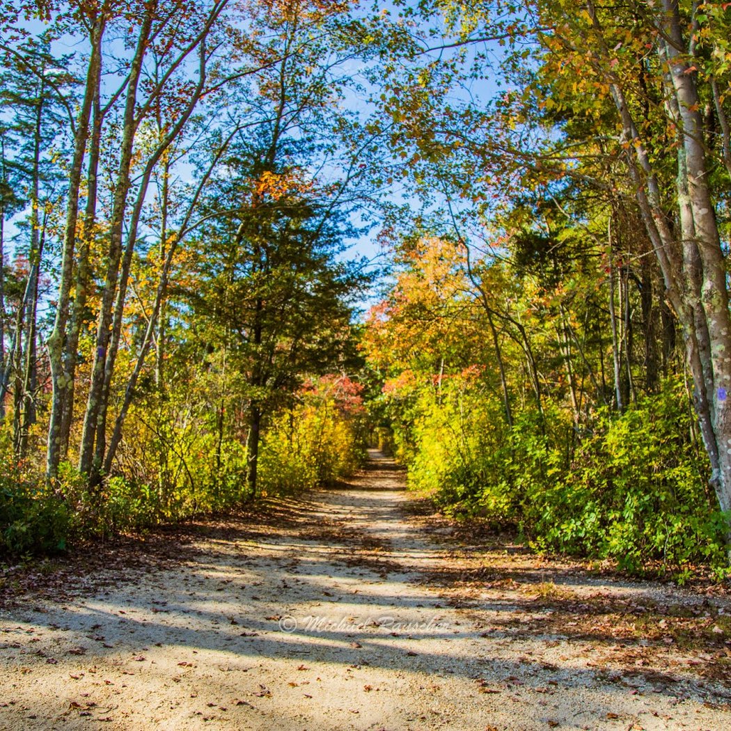 Double Trouble State Park 1