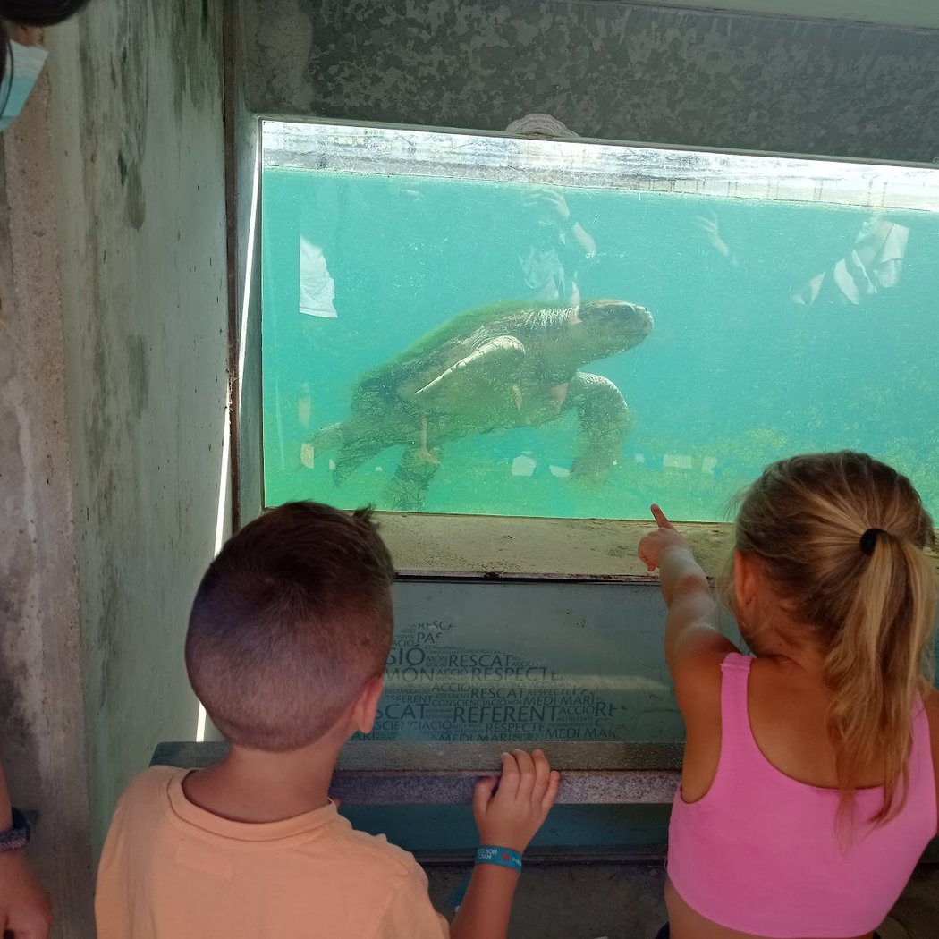 Fundació per la Conservació i Recuperació d'Animals Marins (CRAM) 4