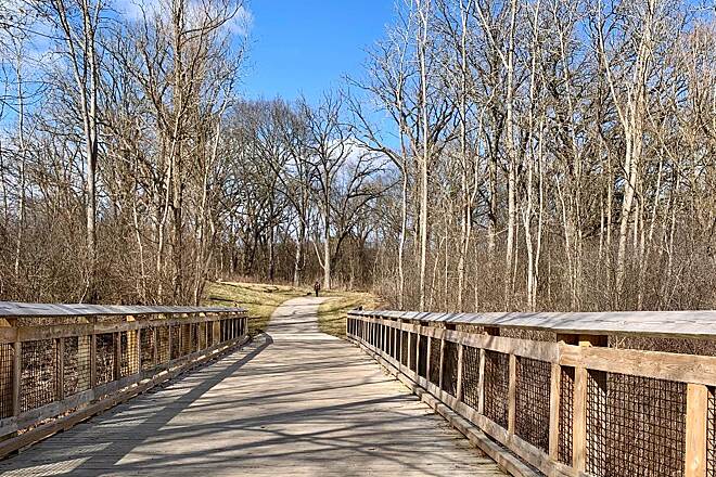 Matthaei Botanical Gardens 3