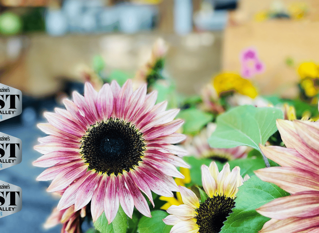 Beacon Farmers' Market 2
