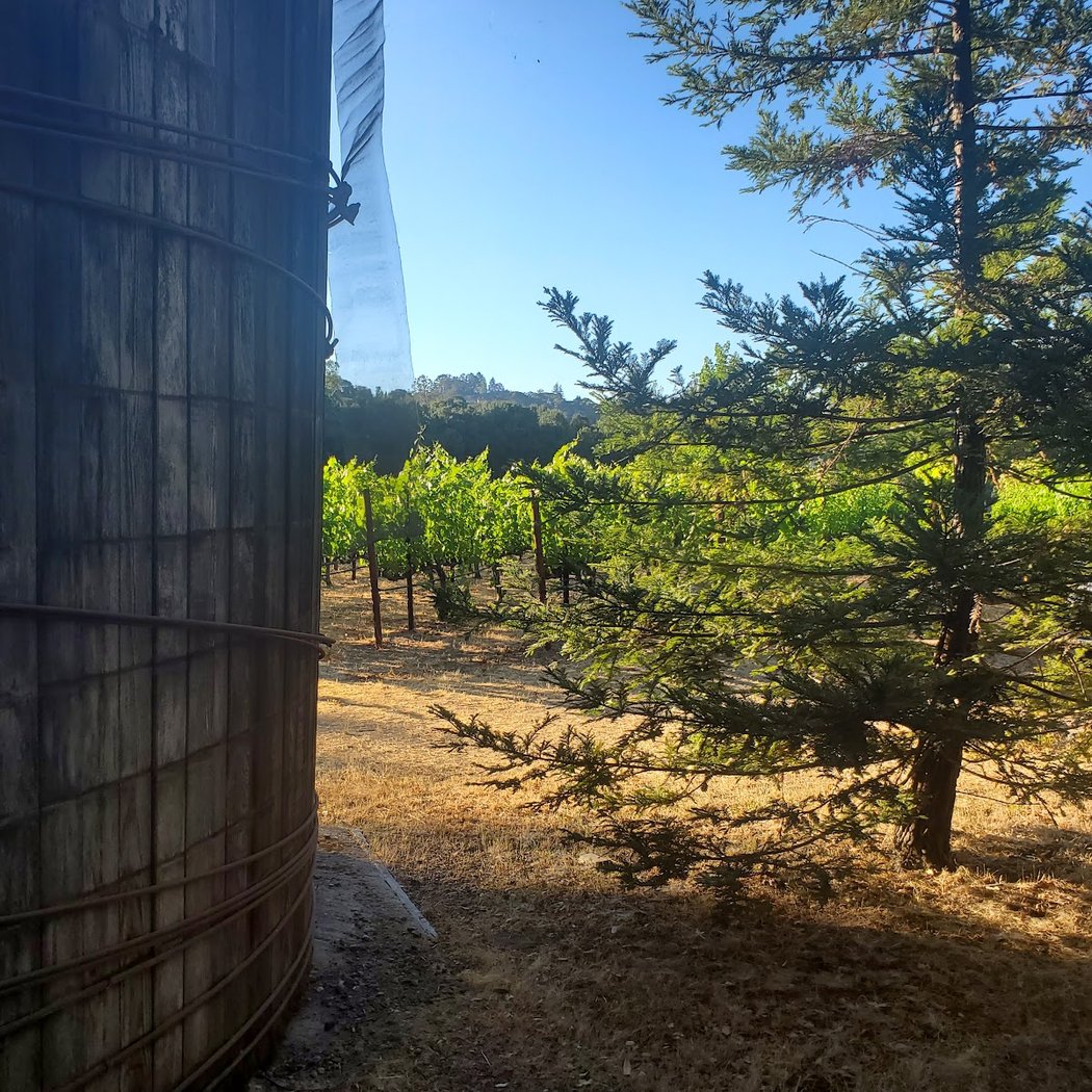 Portola Vineyards 3