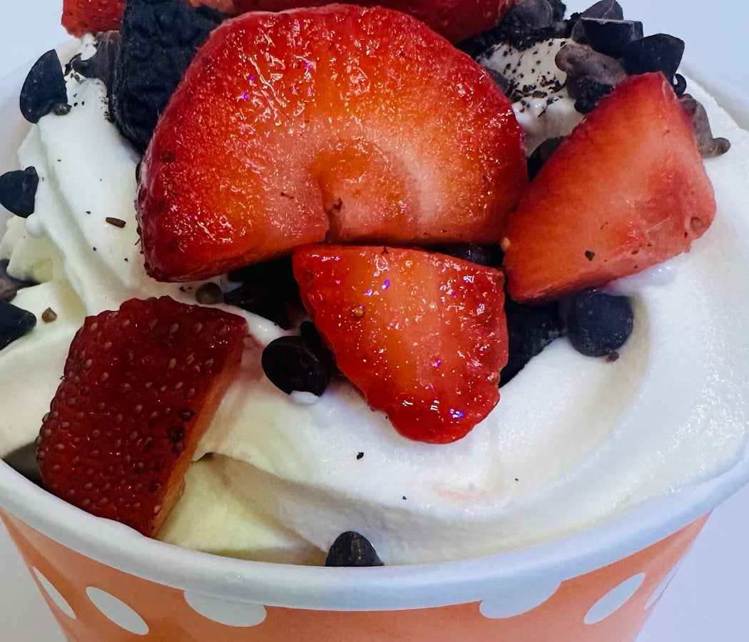 Sunshine Froyo 1