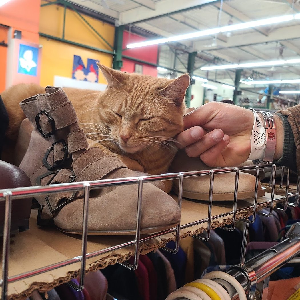 Le Point Value Thrift 1