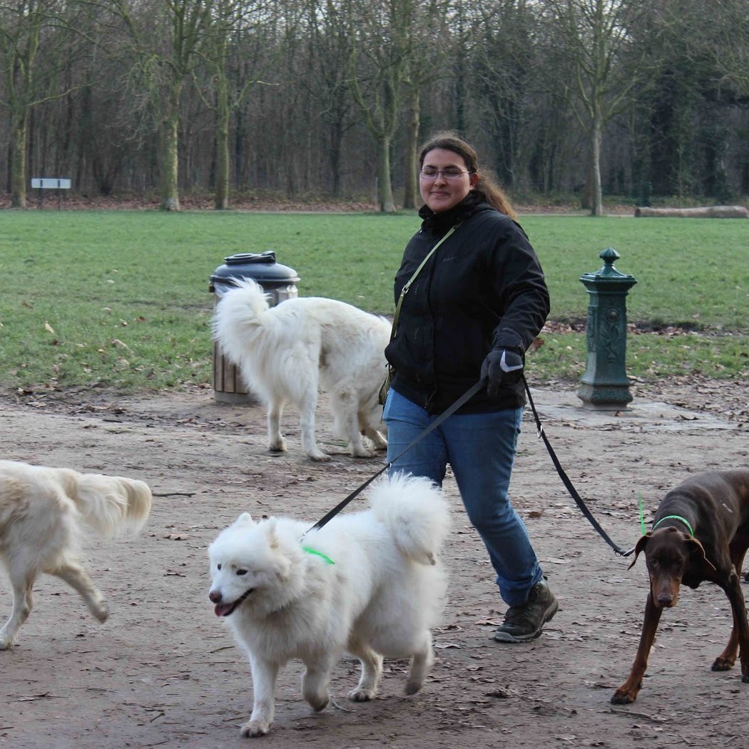 Puppies Walk and Care 2