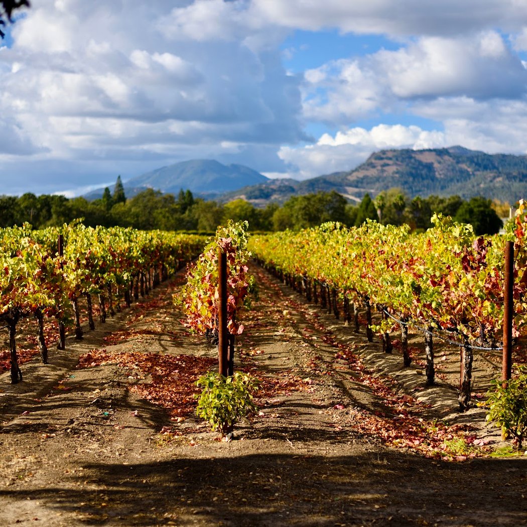 Welcome to Napa Valley Sign (South) 3