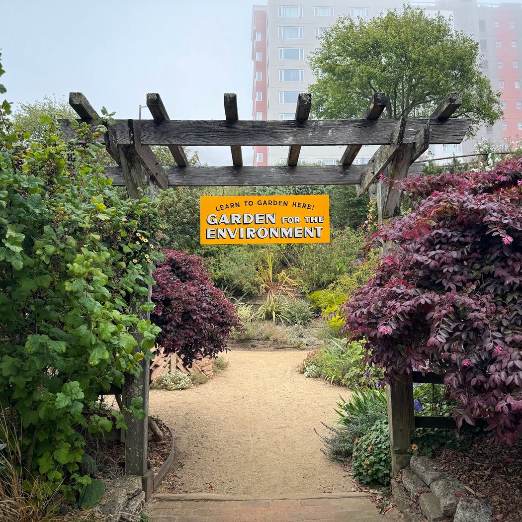 Garden for the Environment 3