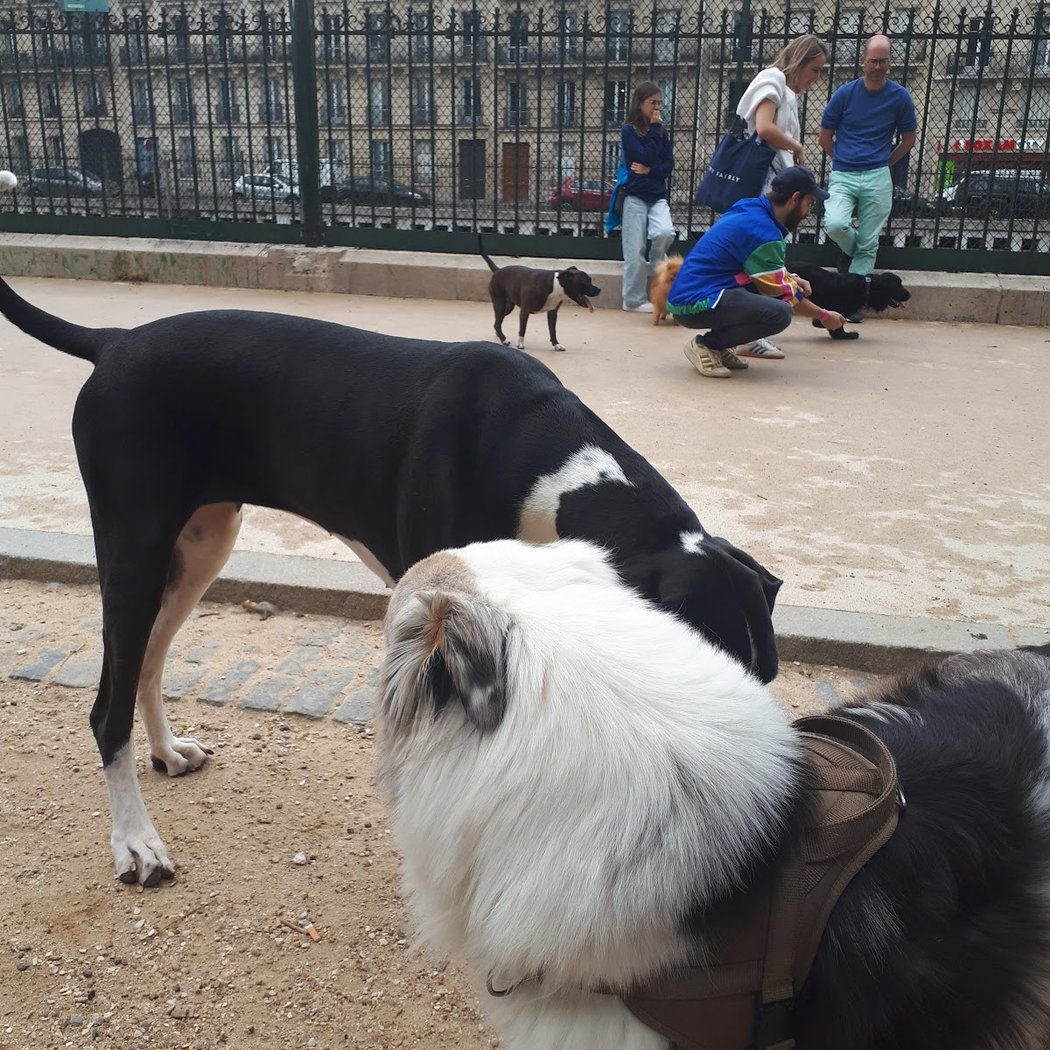 Espace Canin du Square des Batignolles 3