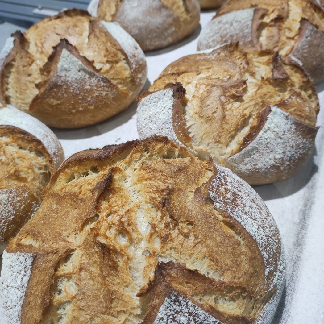 Pablo Conesa Alternative Bakery 1
