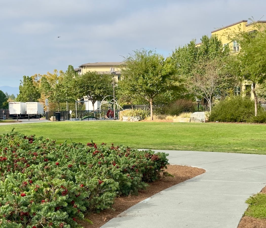 Cannery Park 3