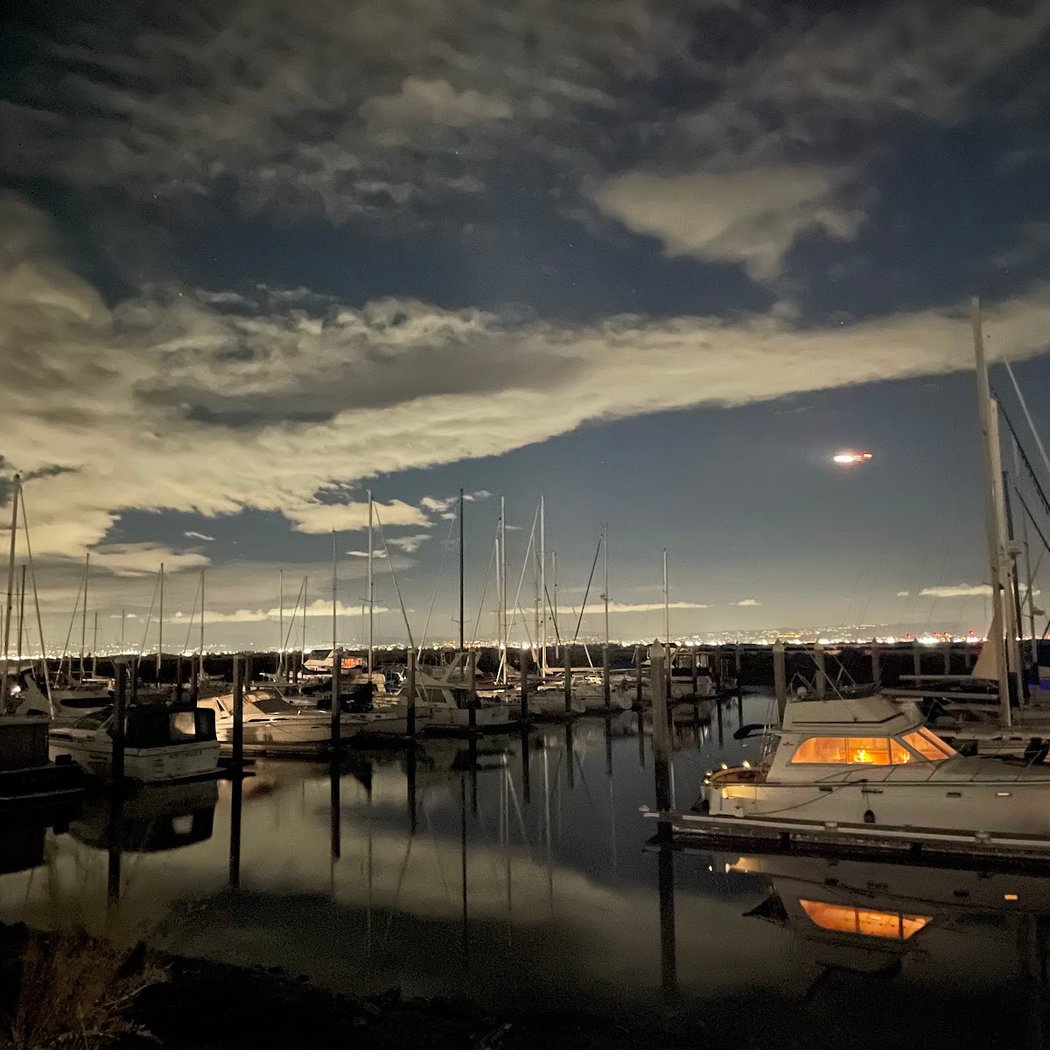 Coyote Point Marina 1