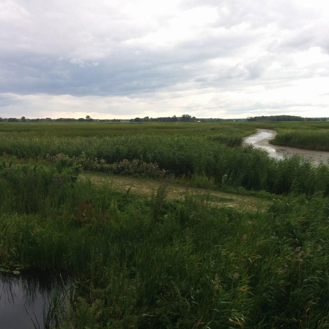 Long Point Provincial Park 2