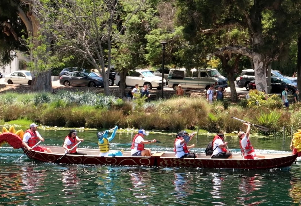 Lotus Festival 3