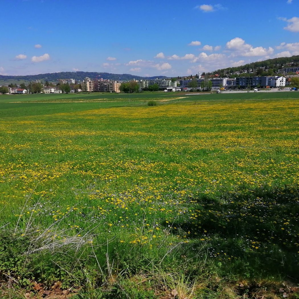 Nordic Walking 1
