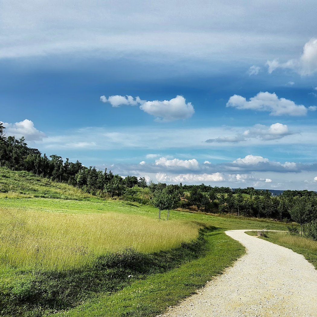 Butte des chataigners 3