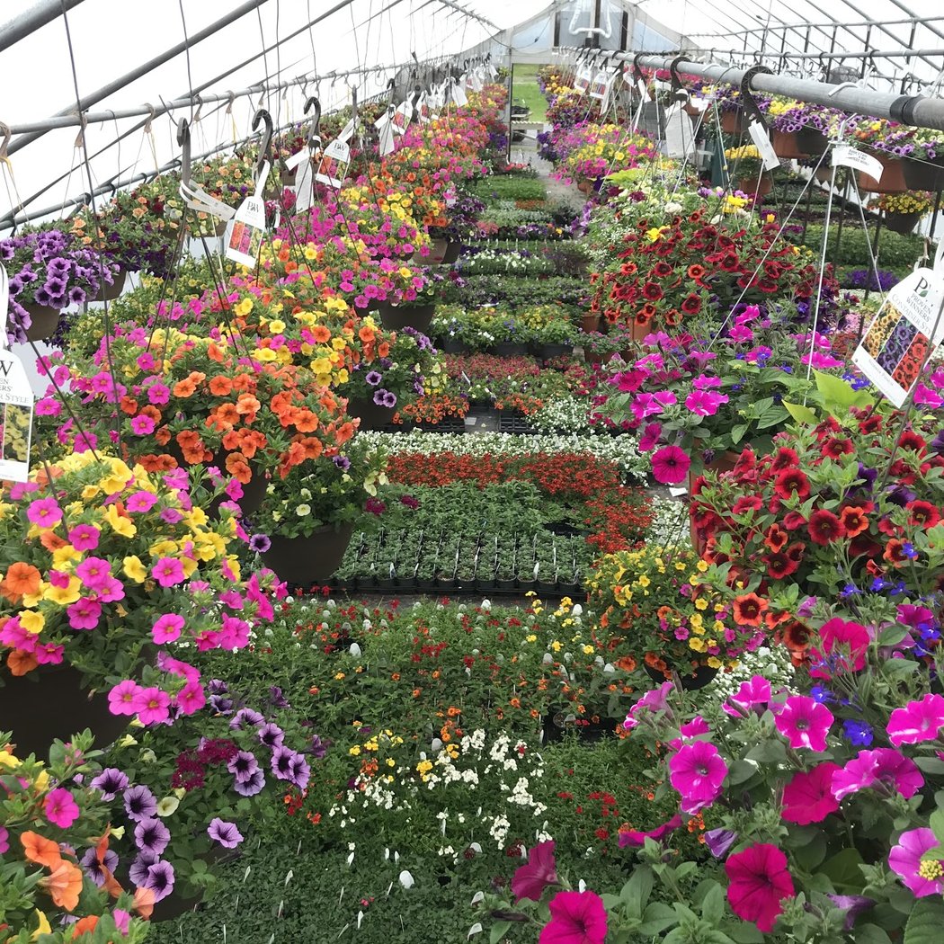 Boice Farm 1