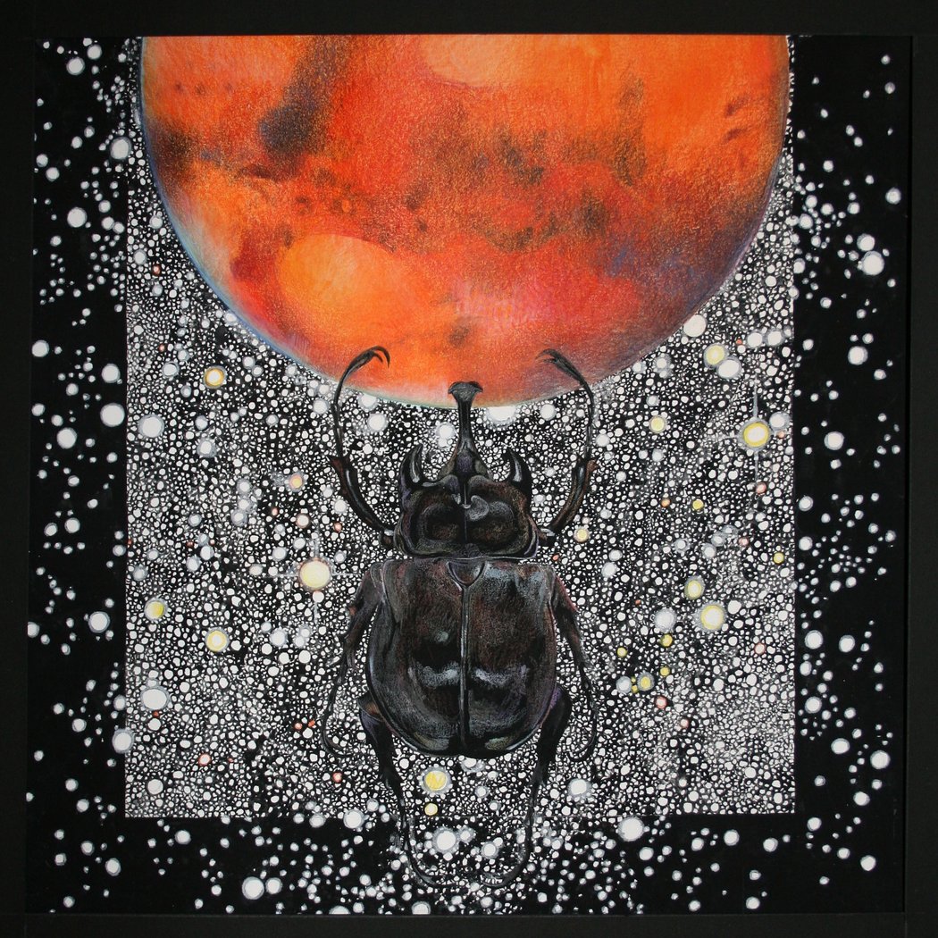 The Insect Epiphany: How Our Six-Legged Allies Shape Human Culture 1
