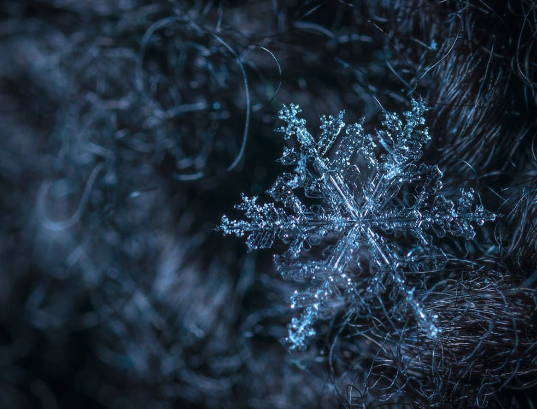 Snowflake Science 1