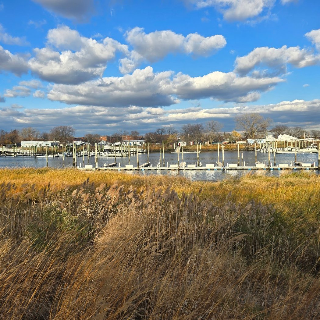 Ecology Park Restoration and Tour 1