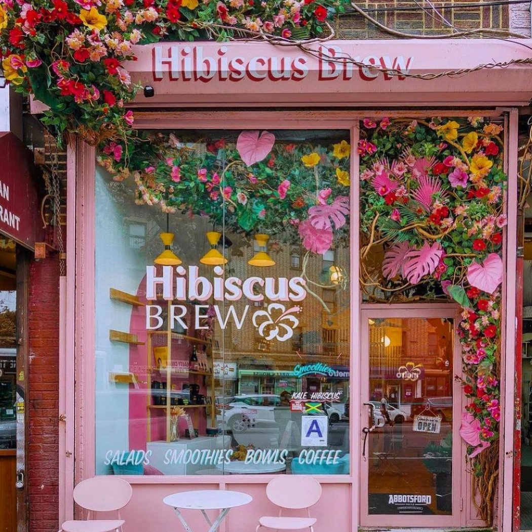 Hibiscus Brew 3