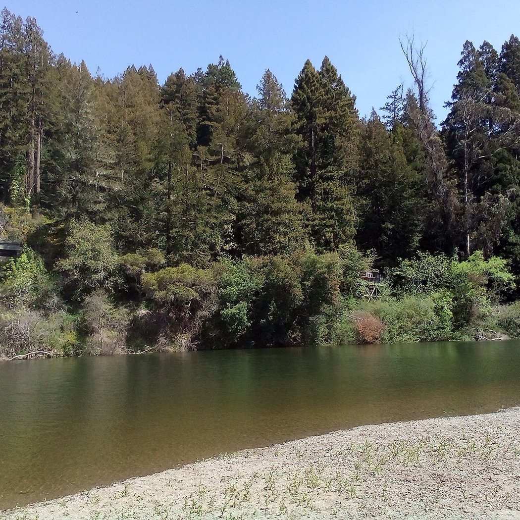 Patterson Point Preserve 2