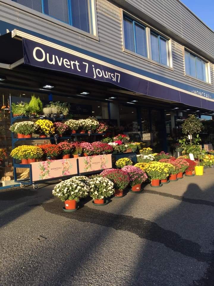 Monceau Fleurs 2